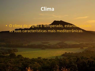 Clima
• O clima da região é temperado, estando visíveis
as suas características mais mediterrânicas.
 