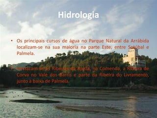 Hidrologia
• Os principais cursos de água no Parque Natural da Arrábida
localizam-se na sua maioria na parte Este, entre Setúbal e
Palmela.
• Destacam-se as Ribeiras da Ajuda, na Comenda, a Ribeira de
Corva no Vale dos Barris e parte da Ribeira do Livramento,
junto à baixa de Palmela.
 