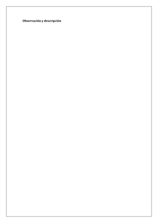 Observación y descripción
 