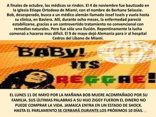 Ya en 1980, Bob recibe una invitación del Presidente de Gabón para presentarse en Libreville en enero, en el que sería el primero de los dos conciertos que Bob dio en África. El segundo es histórico. Bob es invitado a las celebraciones de independencia en Zimbabwe, a donde acude el 18 de abril, para lo que gasta más de 250.000 dólares de su propio bolsillo en llevar la banda hasta allí.50CAROLINA CANO AND MARIA JOSE MEZA