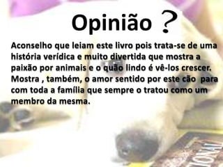 Opinião
Aconselho que leiam este livro pois trata-se de uma
história verídica e muito divertida que mostra a
paixão por animais e o quão lindo é vê-los crescer.
Mostra , também, o amor sentido por este cão para
com toda a família que sempre o tratou como um
membro da mesma.
 