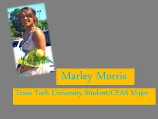 Marley Morris
Texas Tech University Student/CFAS Major
 