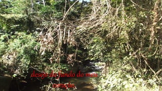 desejo do fundo do meu
coração,
 