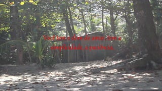 Você tem o dom de amar, tem a
simplicidade, a paciência,
 