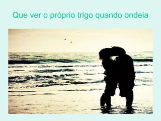 Que ver o próprio trigo quando ondeia 