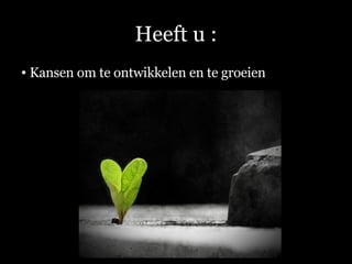 Heeft u : Kansen om te ontwikkelen en te groeien 