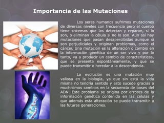 Importancia de las Mutaciones
Los seres humanos sufrimos mutaciones
de diversas niveles con frecuencia pero el cuerpo
tiene sistemas que las detectan y reparan, si lo
son, o eliminan la célula si no lo son. Aun así hay
mutaciones que pasan desapercibidas aunque si
son perjudiciales y originan problemas, como el
cáncer. Una mutación es la alteración o cambio en
la información genética de un ser vivo y por lo
tanto, va a producir un cambio de características,
que se presenta espontáneamente, y que se
puede transmitir o heredar a la descendencia.
La evolución es una mutación muy
valiosa en la biología, ya que sin está la vida
misma no tendría sentido y esto sucede gracias a
muchísimos cambios en la secuencia de bases del
ADN. Este problema se origina por errores de la
información genética contenida en las células y
que además esta alteración se puede transmitir a
las futuras generaciones.
 