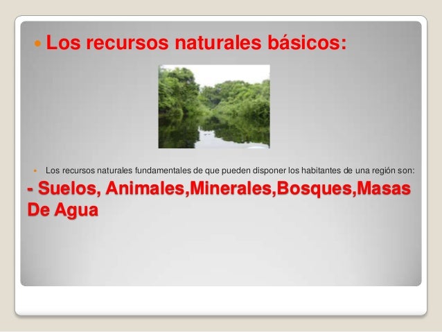 Cuales son los recursos naturales del agua Los bosques son necesarios para preservar la ecología del planeta, pues son la base de todos los recursos naturales y de la vida. Los bosques también desempeñan un papel importante en la limpieza del .