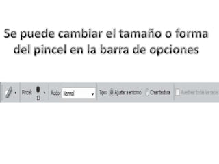 Marlonestebanhernandezchavez