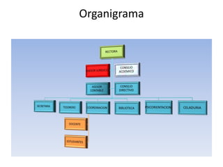 Organigrama