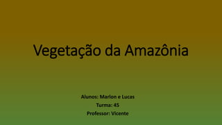 Vegetação da Amazônia
Alunos: Marlon e Lucas
Turma: 45
Professor: Vicente
 