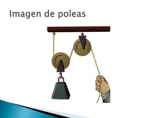 Marlyn cristina ortiz