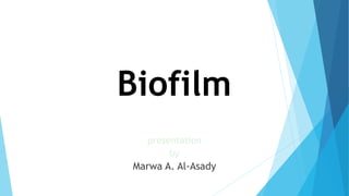 Biofilm
presentation
by
Marwa A. Al-Asady
 
