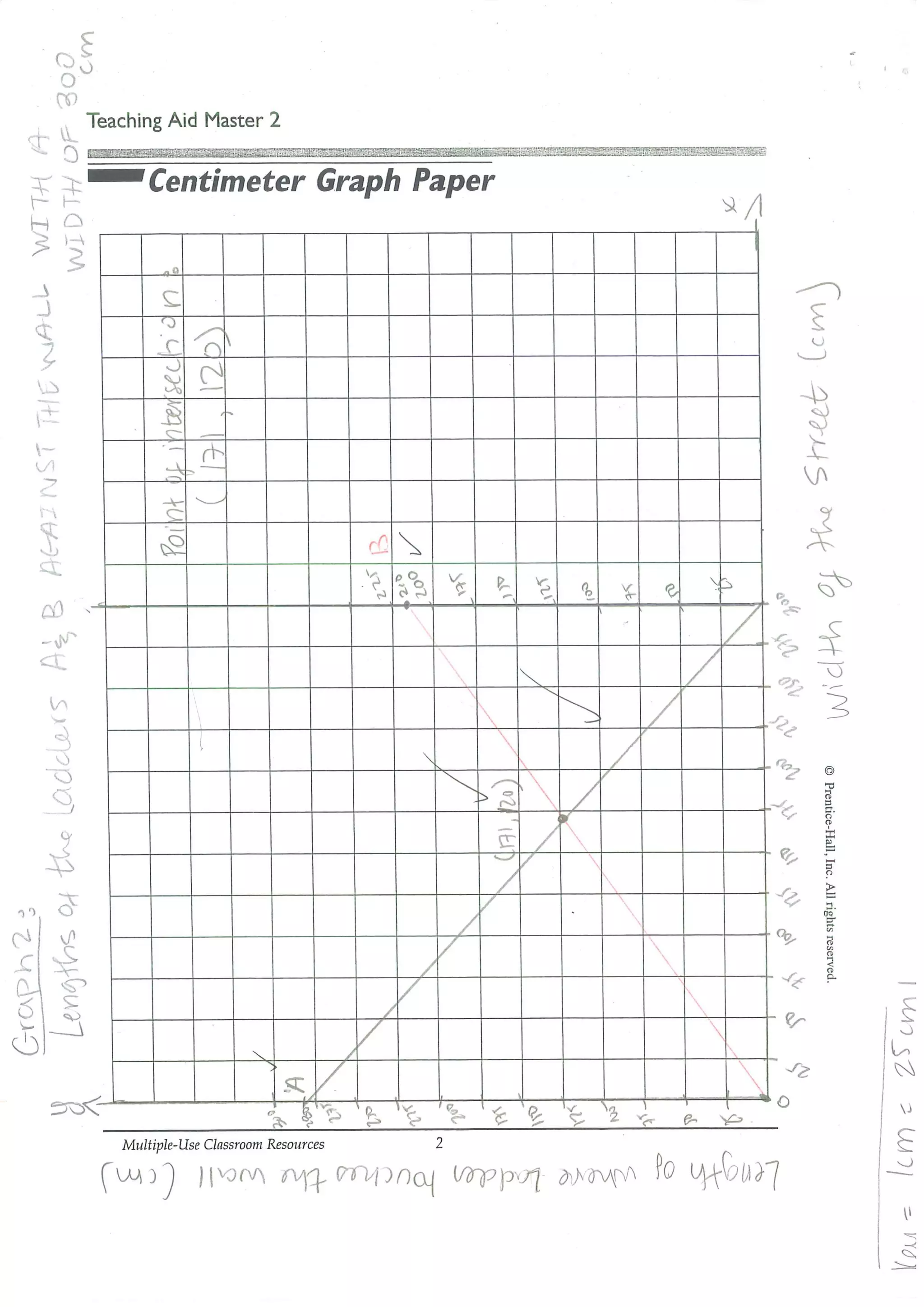 MYP Investigation | PDF