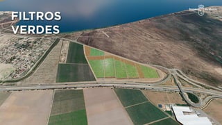 FILTROS
VERDES
 