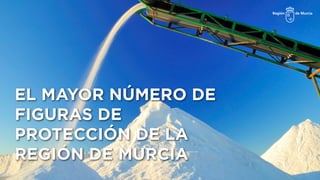 EL MAYOR NÚMERO DE
FIGURAS DE
PROTECCIÓN DE LA
REGIÓN DE MURCIA
 