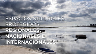 ESPACIOS NATURALES
PROTEGIDOS
REGIONALES,
NACIONALES E
INTERNACIONALES
 