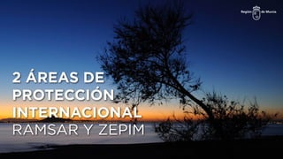 2 ÁREAS DE
PROTECCIÓN
INTERNACIONAL
RAMSAR Y ZEPIM
 