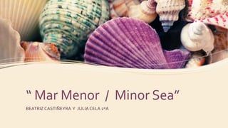 “ Mar Menor / Minor Sea”
BEATRIZ CASTIÑEYRA Y JULIA CELA 2ºA
 