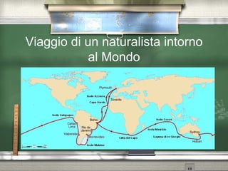 Viaggio di un naturalista intorno al Mondo 