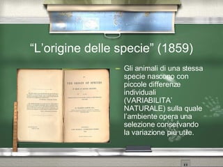 “ L’origine delle specie” (1859) Gli animali di una stessa specie nascono con piccole differenze individuali (VARIABILITA’ NATURALE) sulla quale l’ambiente opera una selezione conservando la variazione più utile. 