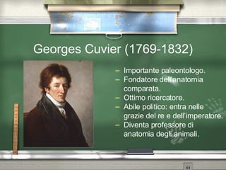 Georges Cuvier (1769-1832) Importante paleontologo. Fondatore dell’anatomia comparata. Ottimo ricercatore. Abile politico: entra nelle grazie del re e dell’imperatore. Diventa professore di anatomia degli animali. 