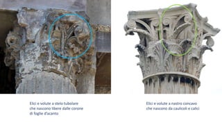 Elici e volute a stelo tubolare
che nascono libere dalle corone
di foglie d’acanto
Elici e volute a nastro concavo
che nascono da caulicoli e calici
 