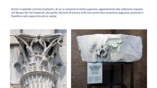 Anche il capitello corinzio di pilastro, di cui si conserva la metà superiore, appartenente alla collezione esposta
nel Museo dei Fori Imperiali, dai portici del Foro di Cesare nella loro prima fase cesariano-augustea, presenta il
fiorellino nello spazio tra elici e volute.
 