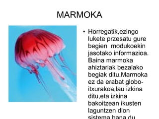 marmoka-odp