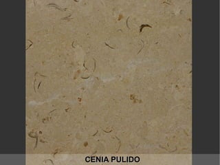 CENIA PULIDOCENIA PULIDO