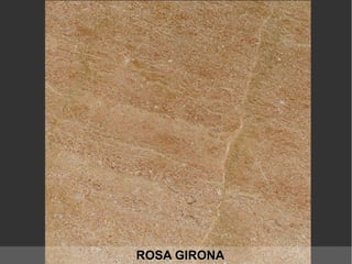 ROSA GIRONAROSA GIRONA