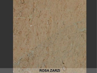 ROSA ZARZIROSA ZARZI