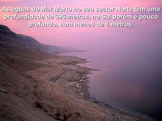 As águas do Mar Morto no seu sector Norte têm uma profundidade de 396 metros, no Sul porém é pouco profundo, com menos de 6 metros. 