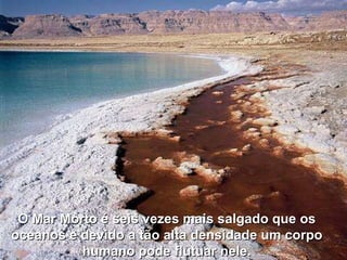 O Mar Morto é seis vezes mais salgado que os oceanos e devido a tão alta densidade um corpo humano pode flutuar nele. 