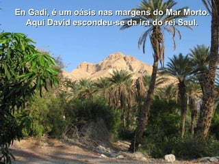 En Gadi, é um oásis nas margens do Mar Morto. Aqui David escondeu-se da ira do rei Saul. 