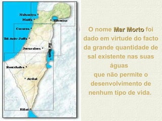 O nome  Mar Morto  foi dado em virtude do facto da grande quantidade de sal existente nas suas águas  que não permite o desenvolvimento de nenhum tipo de vida.   