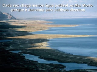 Cada vez chega menos água potável ao Mar MortoCada vez chega menos água potável ao Mar Morto
porque é desviada para cultivos diversosporque é desviada para cultivos diversos..
 