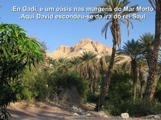 En Gadi, é um oásis nas margens do Mar MortoEn Gadi, é um oásis nas margens do Mar Morto..
Aqui David escondeu-se da ira do rei SaulAqui David escondeu-se da ira do rei Saul..
 