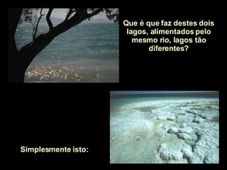 Que é que faz destes dois lagos, alimentados pelo mesmo rio, lagos tão diferentes? Simplesmente isto:  