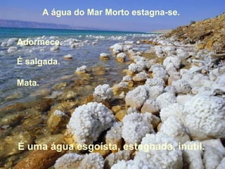 A água do Mar Morto estagna-se.  Adormece.  É salgada. Mata.  É uma água esgoísta, estagnada, inútil.  
