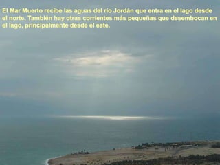 El Mar Muerto recibe las aguas del río Jordán que entra en el lago desde
el norte. También hay otras corrientes más pequeñas que desembocan en
el lago, principalmente desde el este.
 