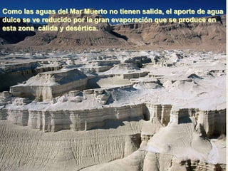 Como las aguas del Mar Muerto no tienen salida, el aporte de agua
dulce se ve reducido por la gran evaporación que se produce en
esta zona cálida y desértica.
 