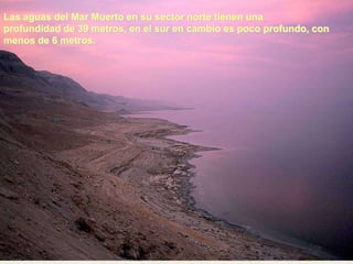 Las aguas del Mar Muerto en su sector norte tienen una
profundidad de 39 metros, en el sur en cambio es poco profundo, con
menos de 6 metros.
 