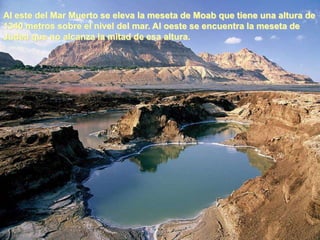 Al este del Mar Muerto se eleva la meseta de Moab que tiene una altura de
1340 metros sobre el nivel del mar. Al oeste se encuentra la meseta de
Judea que no alcanza la mitad de esa altura.
 