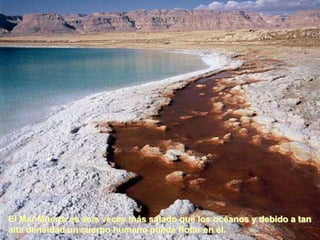 El Mar Muerto es seis veces más salado que los océanos y debido a tan
alta densidad un cuerpo humano puede flotar en él.
 