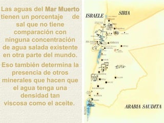 Las aguas del Mar Muerto
tienen un porcentaje de
      sal que no tiene
     comparación con
  ninguna concentración
 de agua salada existente
 en otra parte del mundo.
Eso también determina la
    presencia de otros
minerales que hacen que
    el agua tenga una
       densidad tan
 viscosa como el aceite.
 