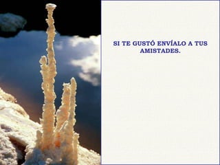 SI TE GUSTÓ ENVÍALO A TUS
        AMISTADES.
 