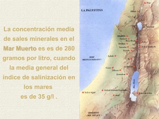 La concentración media
de sales minerales en el
Mar Muerto es es de 280
gramos por litro, cuando
  la media general del
índice de salinización en
       los mares
      es de 35 g/l .
 