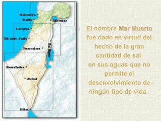 El nombre Mar Muerto
fue dado en virtud del
   hecho de la gran
    cantidad de sal
 en sus aguas que no
      permite el
 desenvolvimiento de
 ningún tipo de vida.
 
