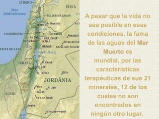 A pesar que la vida no
  sea posible en esas
 condiciones, la fama
 de las aguas del Mar
       Muerto es
    mundial, por las
     características
terapéuticas de sus 21
  minerales, 12 de los
     cuales no son
    encontrados en
   ningún otro lugar.
 
